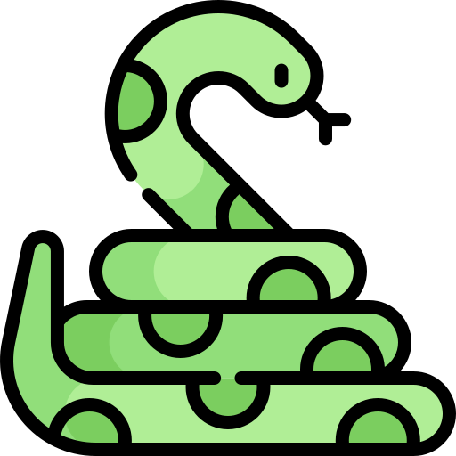 anaconda.webp