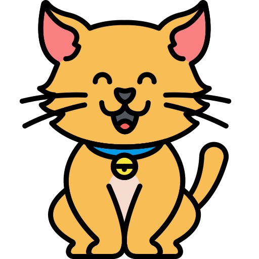 cat.webp