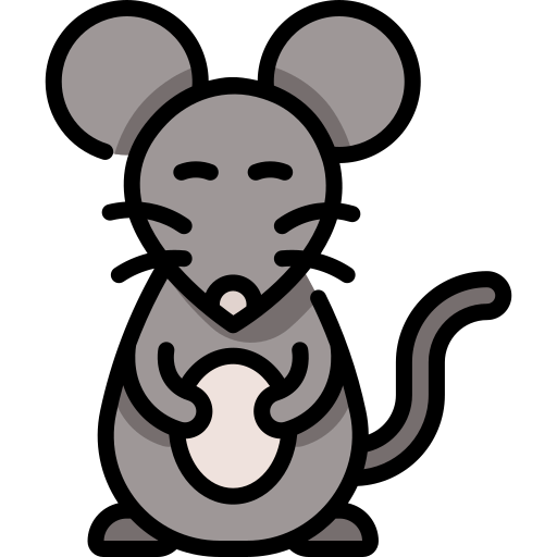 rat.webp